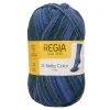 2595 4 Ply Color