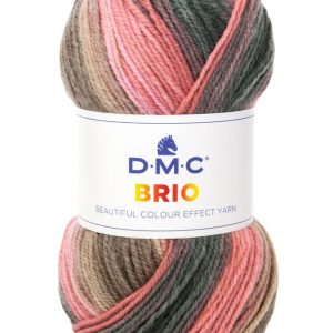 DMC-Brio 404