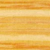 200 Versailles Ombré