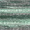 203 Versailles Ombré