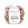 202 Symmetric Socks Christmas