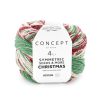 102 Symmetric Socks Christmas